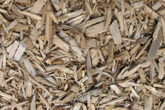 biomass boilers Woodbeck